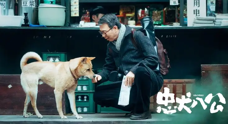 在国外不能看b站怎么办评价